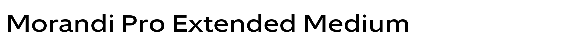 Morandi Pro Extended Medium image